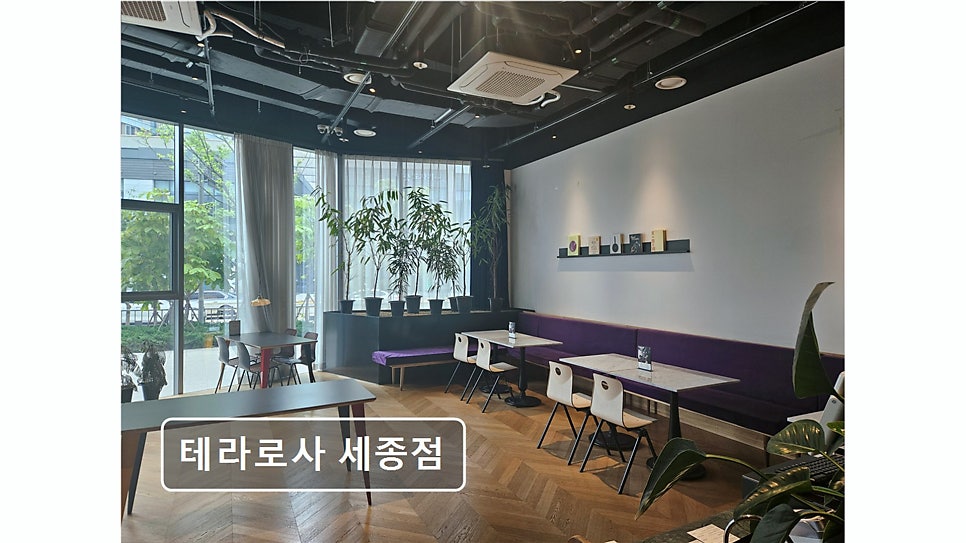 테라로사커피 세종점 사진 4