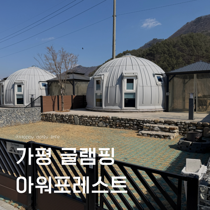 사진 10