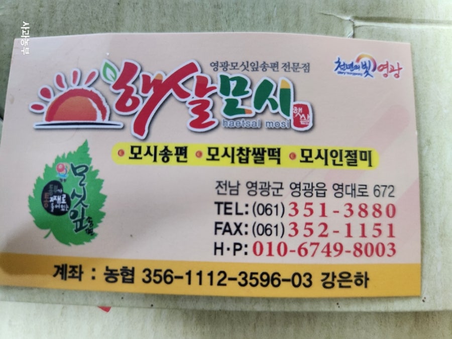 햇살모시 사진 2