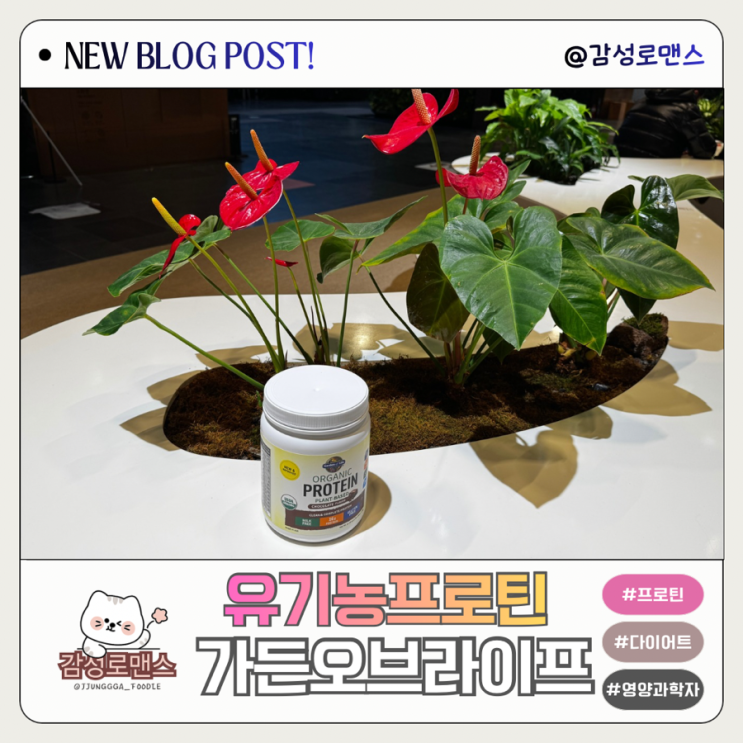  영양과학자 양과자님이 추천한 가든오브라이프 유기농 초콜릿 맛 프로틴