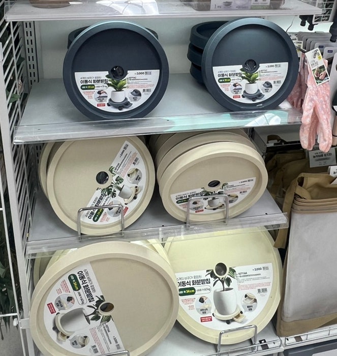 무인양품에서 2만원? 다이소 5천원! 화분받침대 바퀴 추천템