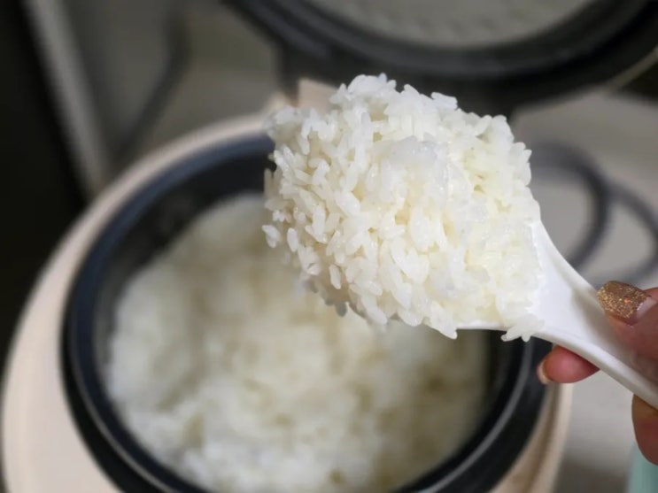  맛있는 쌀 추천 바로 도정한 신동진쌀 10kg 청미특미 구매