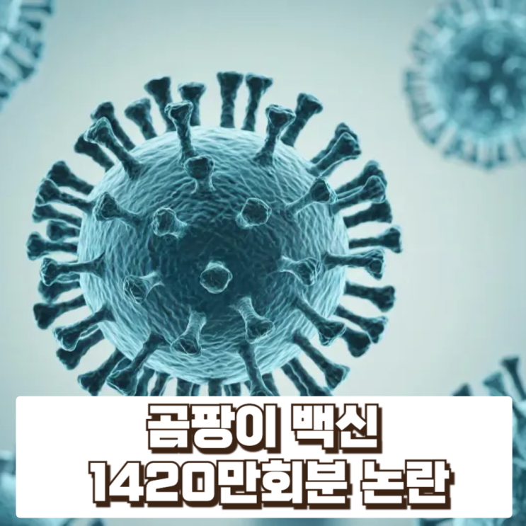  곰팡이 백신 논란, 무엇이 문제인가 : 코로나19 위기 대응 속 백신 관리 시스템의 구조적 분석