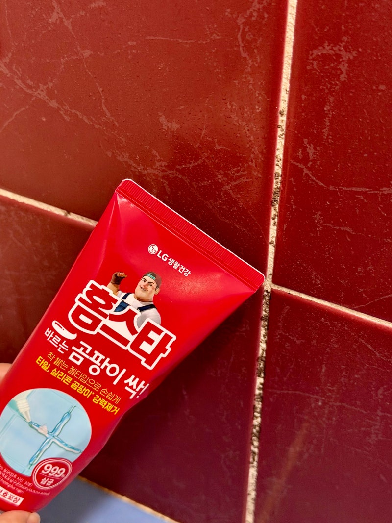 다이소 곰팡이 제거제 홈스타 후기 화장실 줄눈 청소 추천