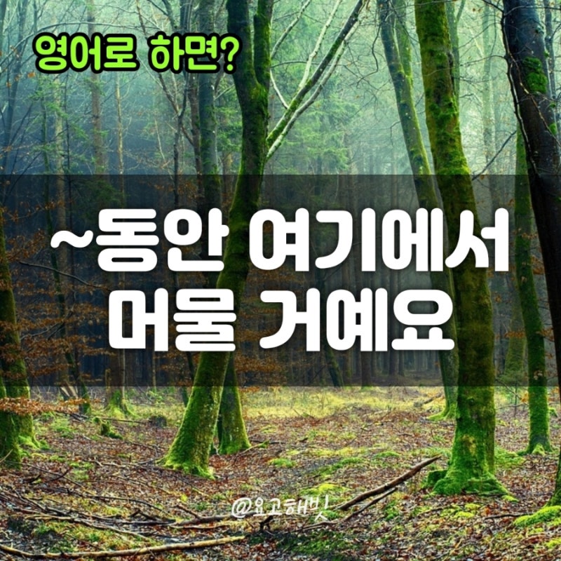 영어스터디 staying here for 여행영어표현 배워요