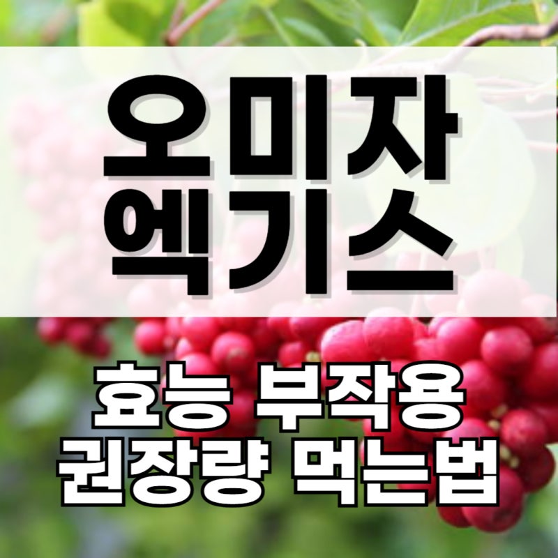 오미자 엑기스 효능 먹는법 주의해야 할 점