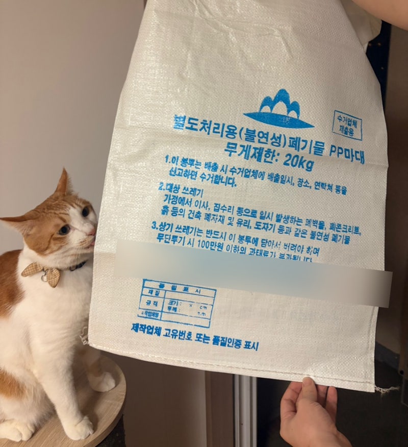 고양이 모래 어떻게 버려야 할까? 벤토나이트•카사바•두부 모래 폐기 방법 정리