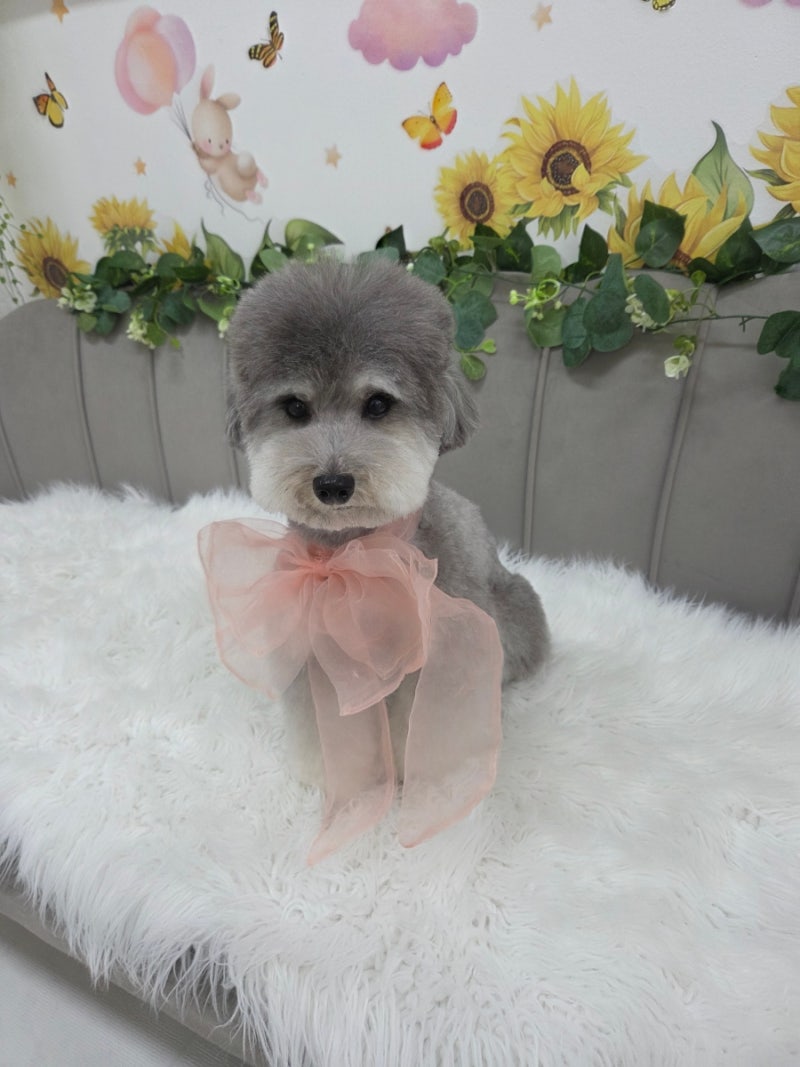 사진 2