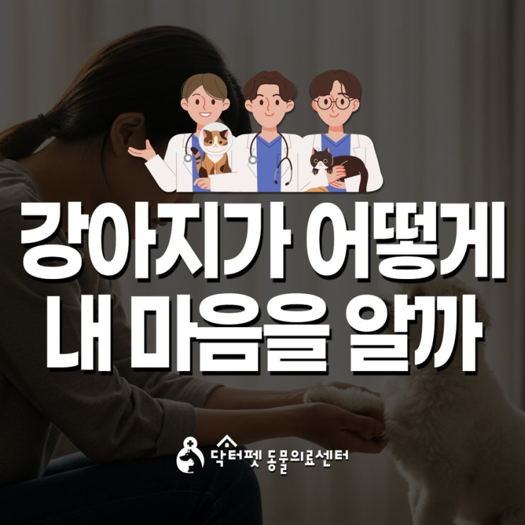  강아지가 내 마음을 읽는다? 스트레스 냄새를 기가막히게 맡는 강아지들