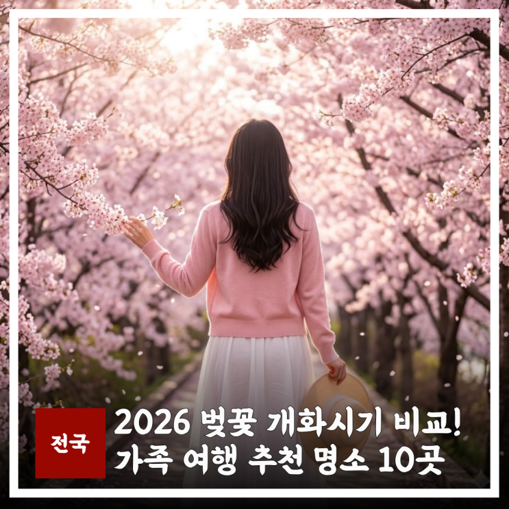  2026 벚꽃 개화시기 서울부터 부산까지 비교! 가족 여행 추천명소 10곳