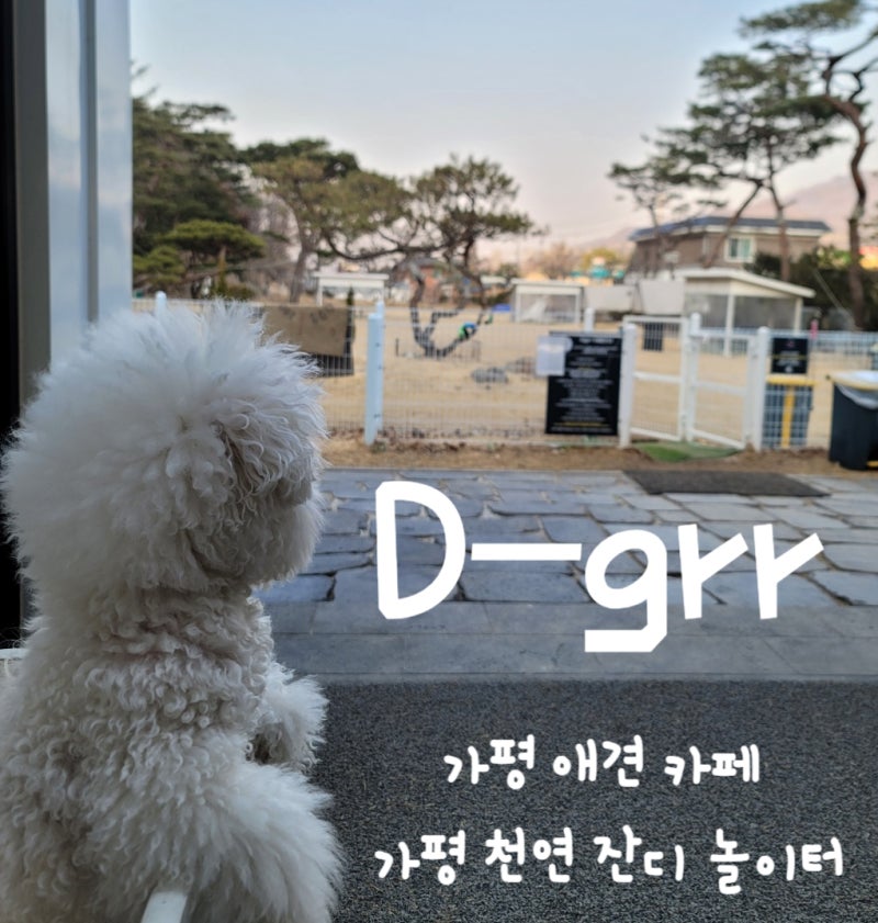디그르르