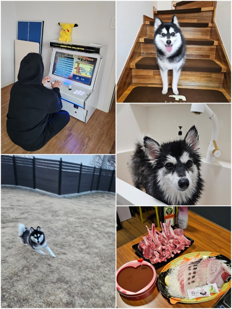 사진 5