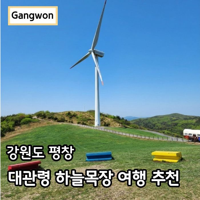 대관령 하늘 목장 애견 동반 강원도 평창 여행 추천