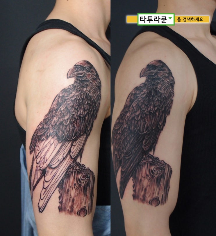  홍대 타투라쿤에서 작업한 까마귀타투| 동물 블랙 앤 그레이 문신