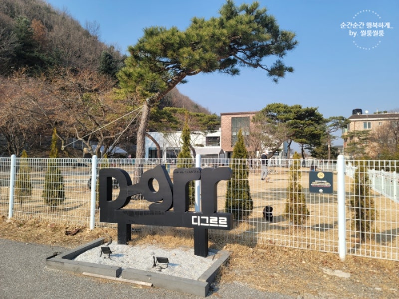 사진 2