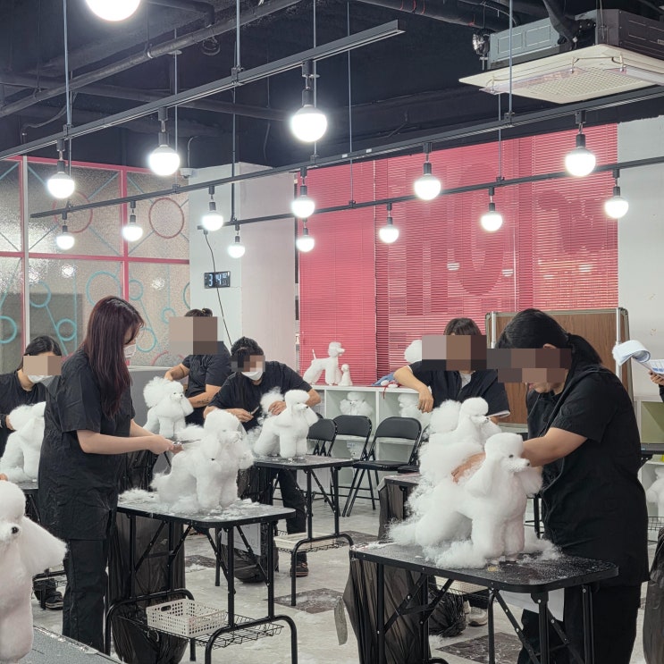  성남애견미용학원 애견미용자격증 학원선택 기준정리