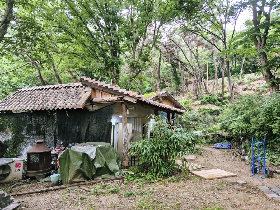산사랑 사진 3