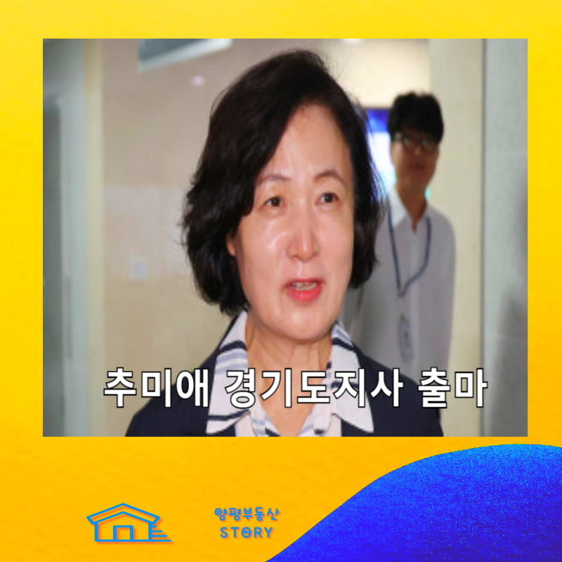 추미애 경기도지사 출마 선언, 고향 나이 학력 정치 경력 프로필