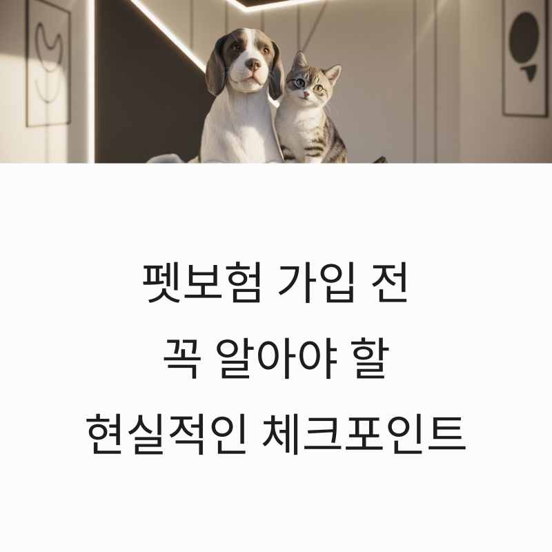 펫보험 가입 전 꼭 알아야 할 현실적인 체크포인트