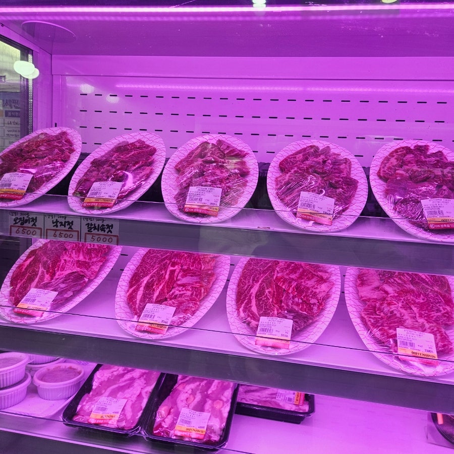 백궁 사진 2