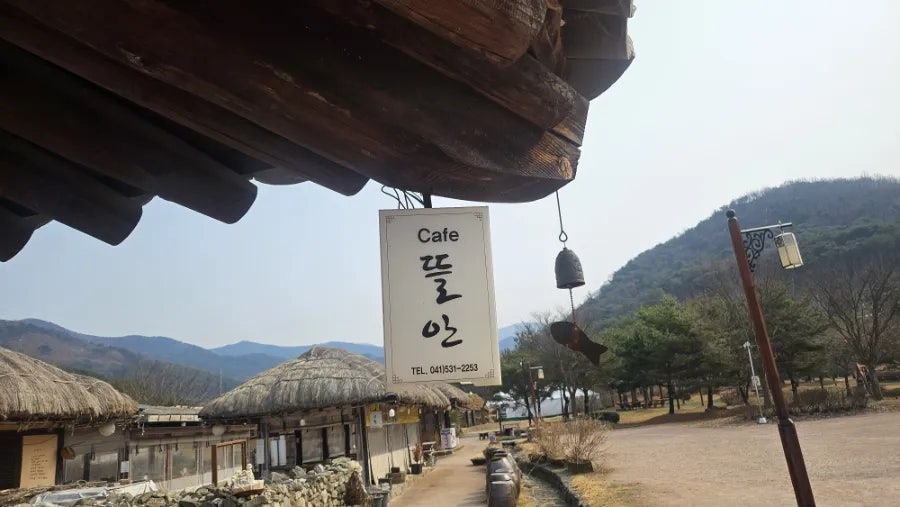 뜰안 사진 3
