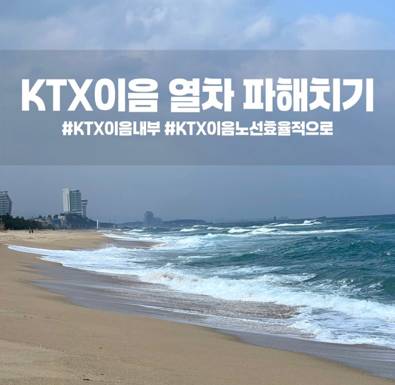 부산 강릉 KTX 이음 열차 타 본 생생한 후기 알려드립니다(+강릉역 근처 놀거리)