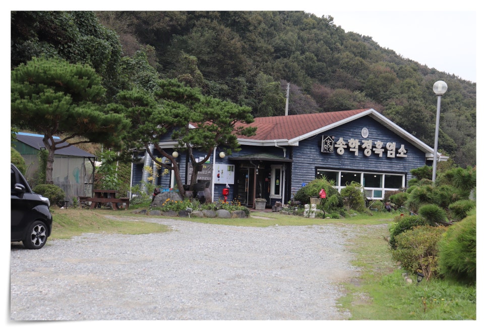 송학정흑염소 사진 1