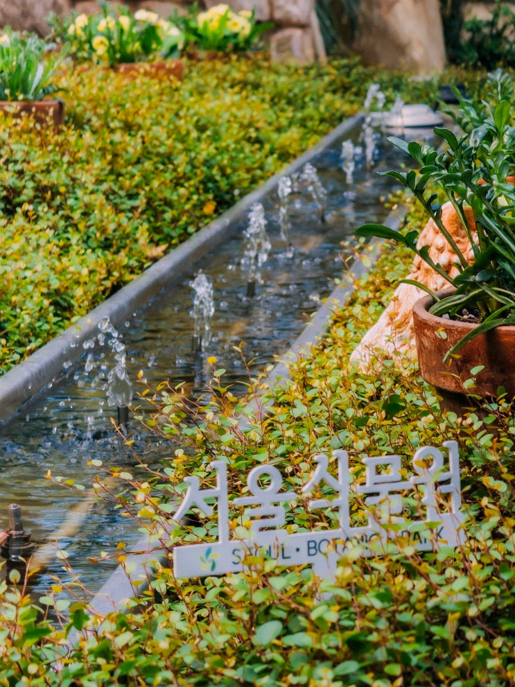  서울 필수 여행 코스, 마곡 서울식물원(주차장, 입장료, 온실)