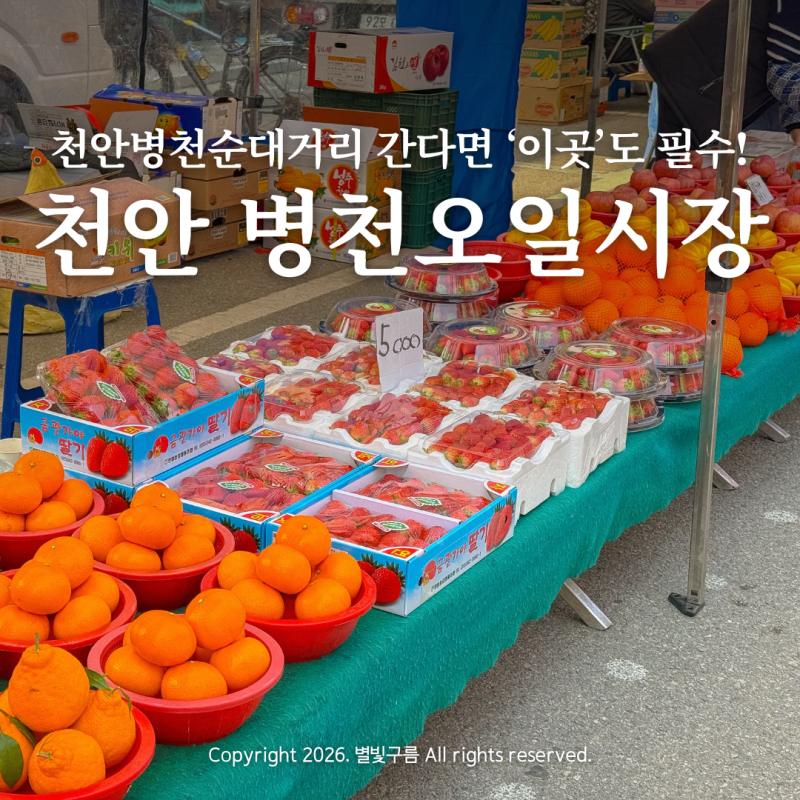 병천 가볼만한곳 천안 병천 시장 오일장 장날 순대거리 주차 위치 정보