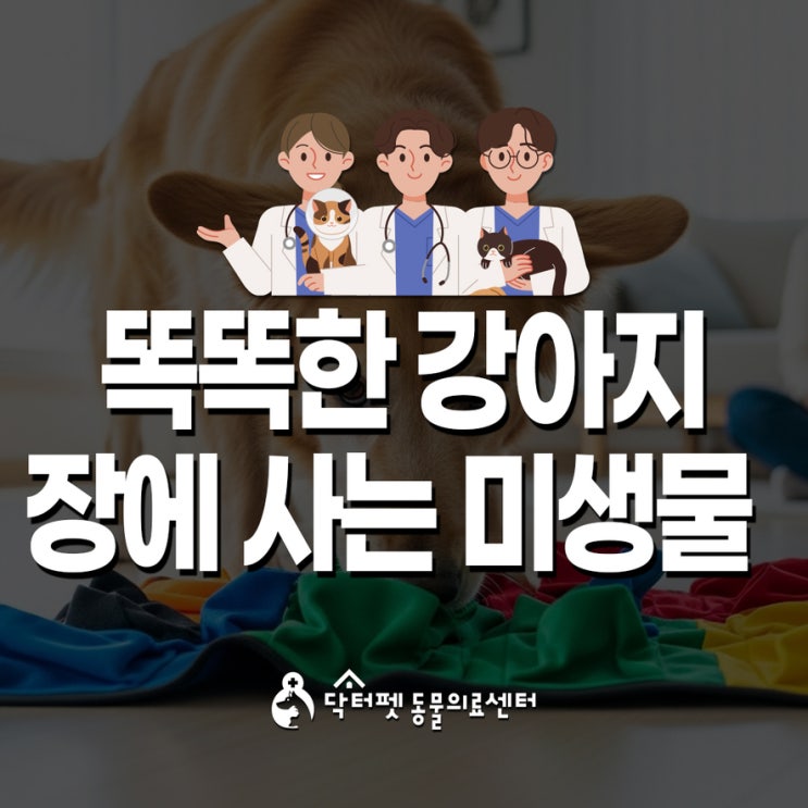  강아지 고양이도 장뇌축이다! 기억력을 살리는 장내 미생물