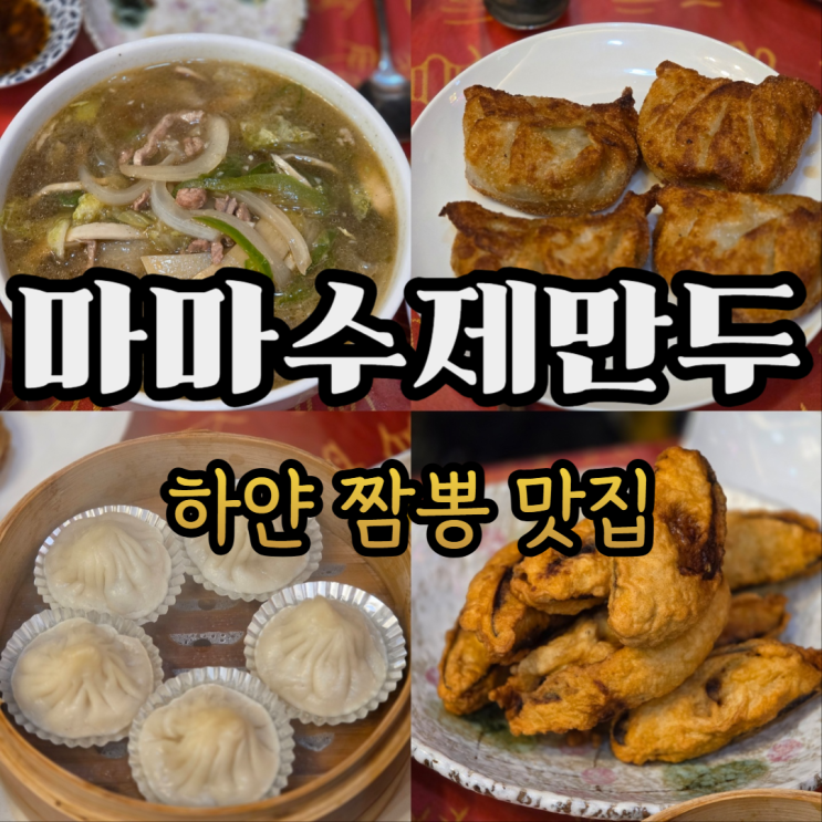  은평구 새절역 맛집 마마수제만두 가지고기튀김, 소룡포, 고기군만두, 하얀짬뽕