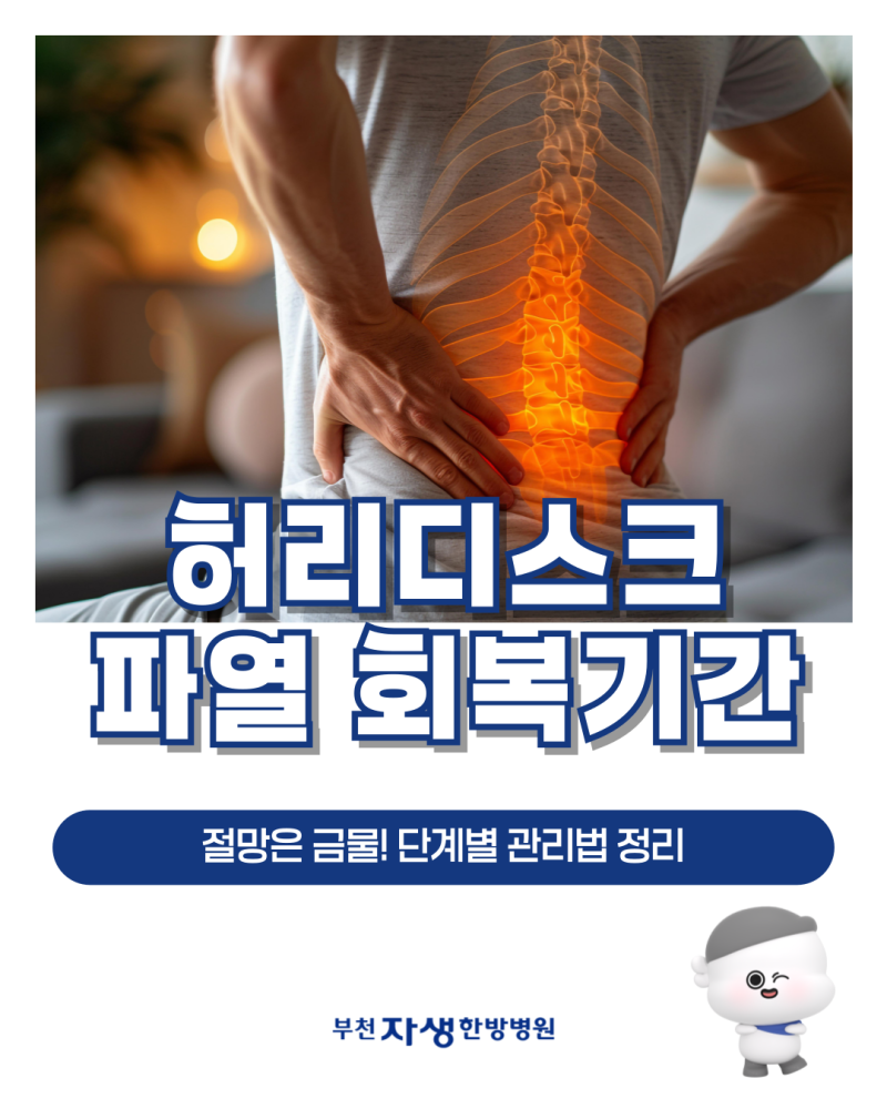 허리디스크 파열회복기간, 절망은 금물! 단계별 관리법 정리