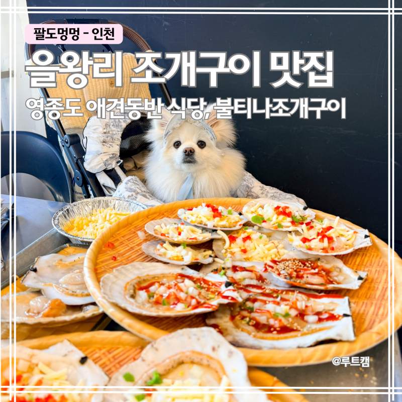영종도 애견동반 식당 불티나조개구이 | 가리비 푸짐한 을왕리 조개구이 맛집