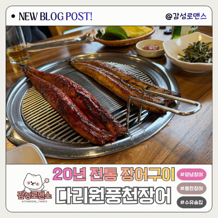  강북구 20년 전통 장어구이 맛집 다리원풍천장어 수유리 술집