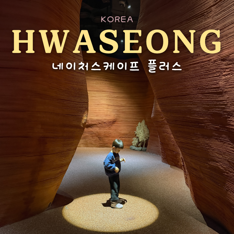사진 6
