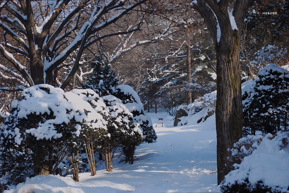 Seoundongsan Pensyeon photo 5