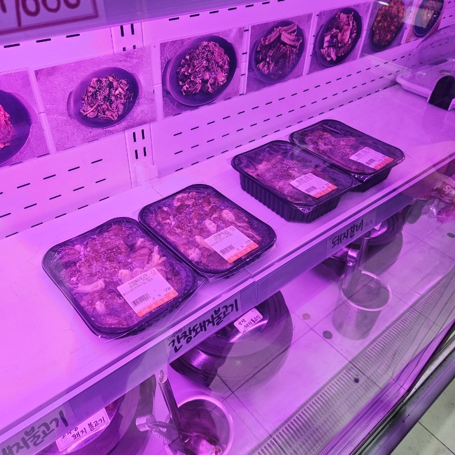 백궁 사진 6