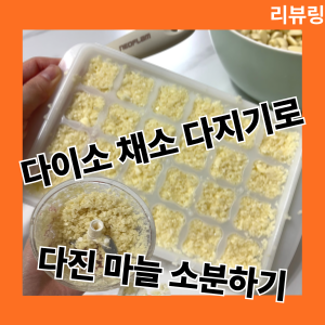 1년차 주부의 다진 마늘 소분하기(Feat. 다이소 채소 다지기)