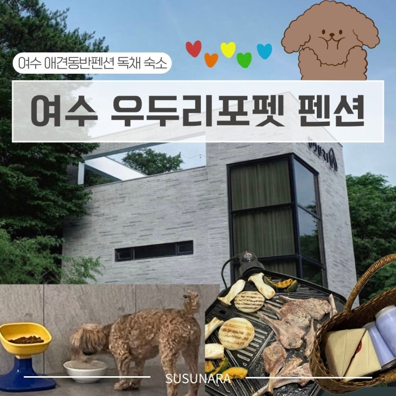 사진 3