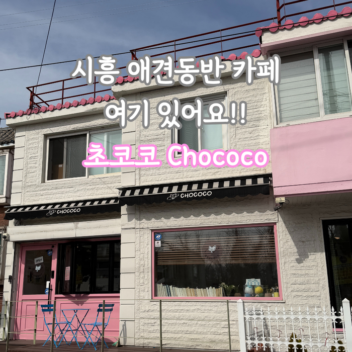 초코코 사진 1