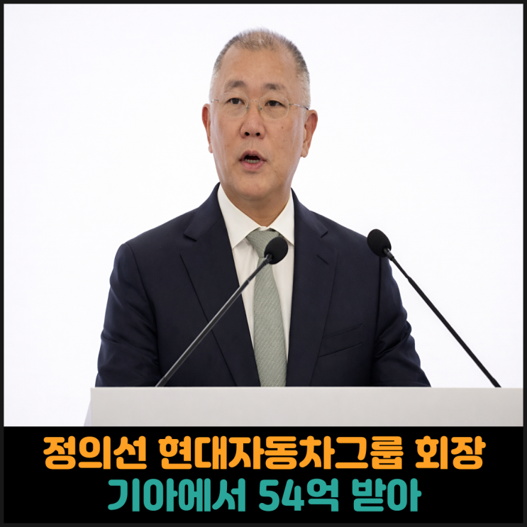  정의선 현대자동차그룹 회장, 기아에서 54억 받아