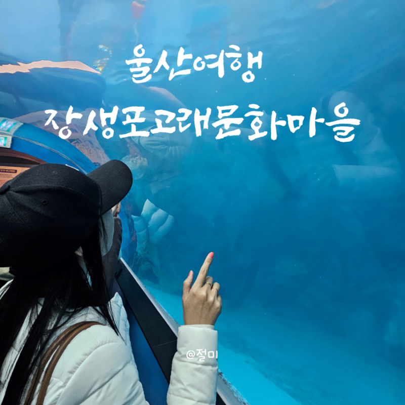 사진 8