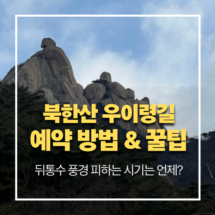 "사람 뒤통수가 풍경?" 북한산 우이령길 예약 방법 vs 그냥 가도 되는 시기 확인하기