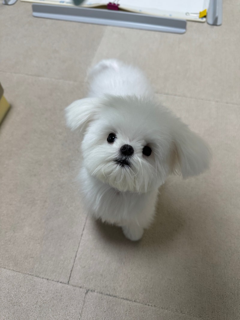 사진 3