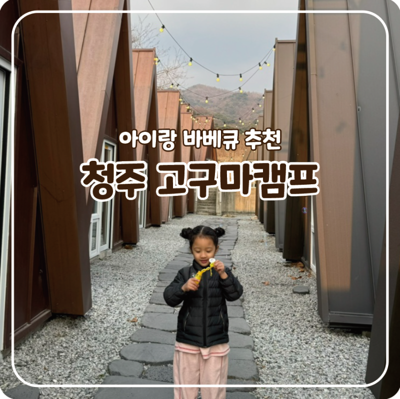 사진 5