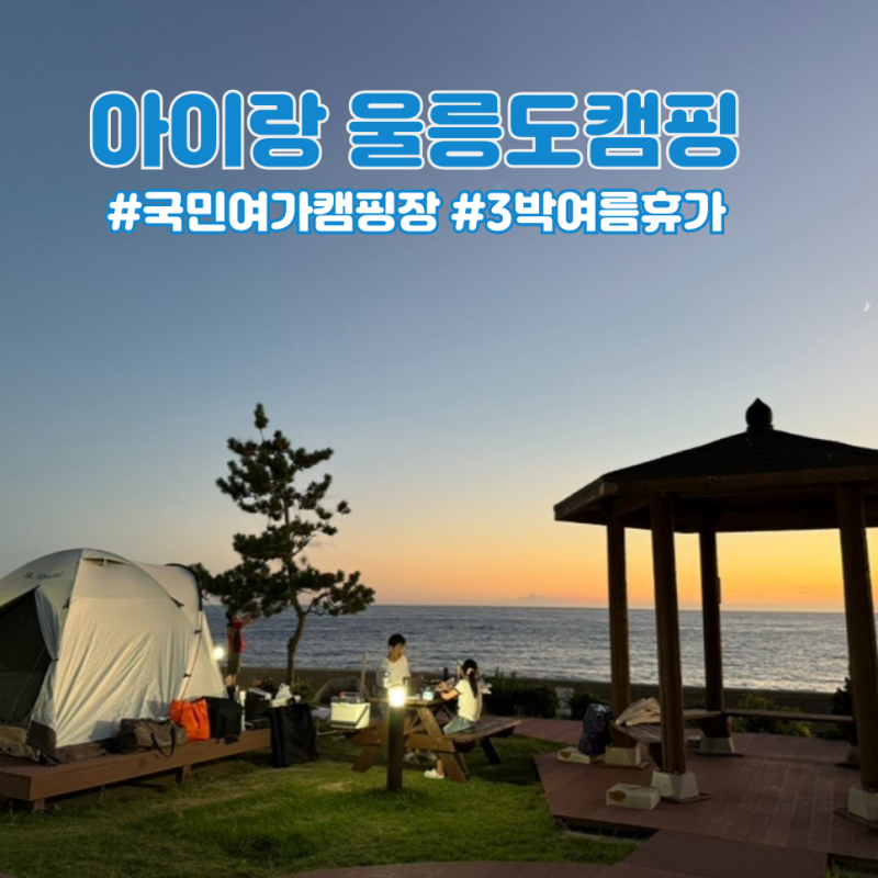 울릉도캠핑 국민여가캠핑장 예약 3박4일 리뷰 사이트비교