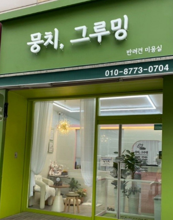 뭉치, 그루밍 — 춘천시