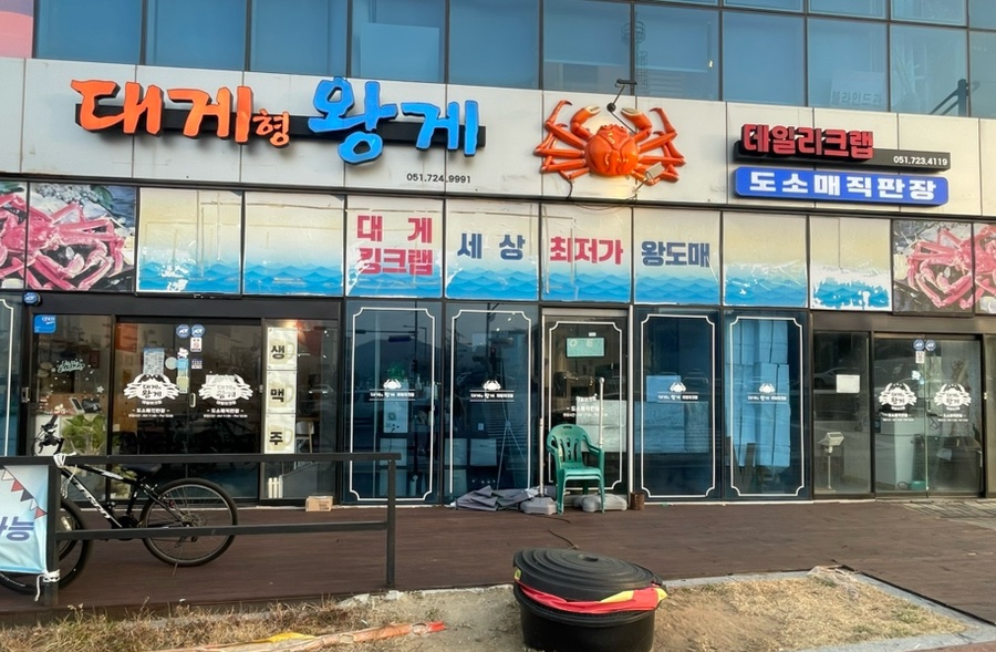 대게형왕게 사진 1