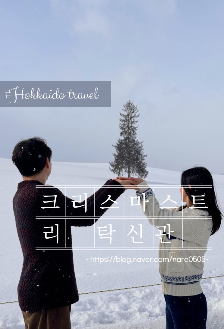 홋카이도 베이에 당일 투어 크리스마스트리 탁신관 갈만해