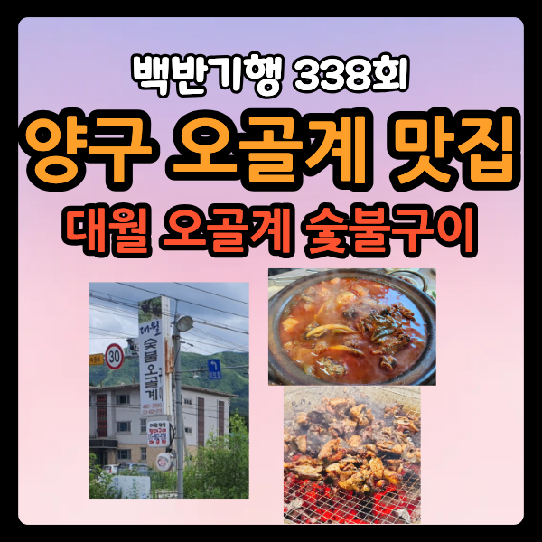 백반기행 양구 오골계 맛집 대월 오골계 숯불구이 오골계 도리탕 백숙 위치 메뉴 정보 338회